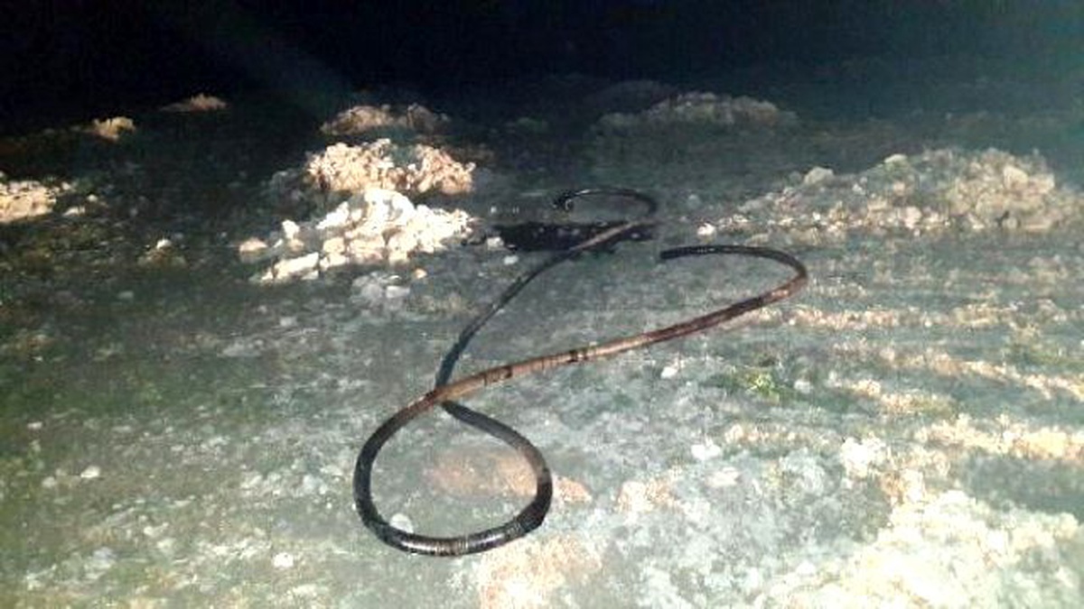 Boru Hattından 17 Ton Petrol Çalan Şüpheli Yakalandı