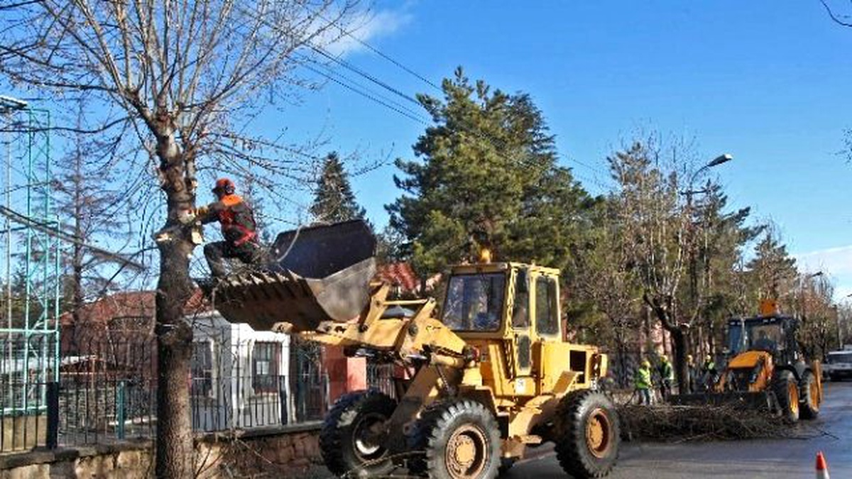Büyükşehir Belediyesi Ağaçları Bahara Hazırlıyor