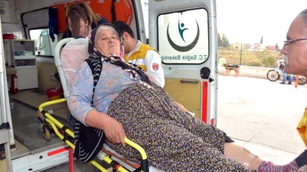 Duvardan Atlayan Köpek Sokakta Yürüyen Kadını Isırdı