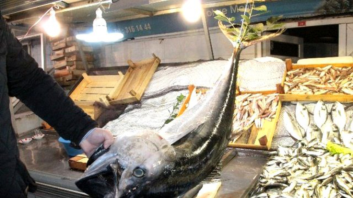 Ereğli\'de Balıkçıların Ağına 40 Kiloluk Torik Takıldı
