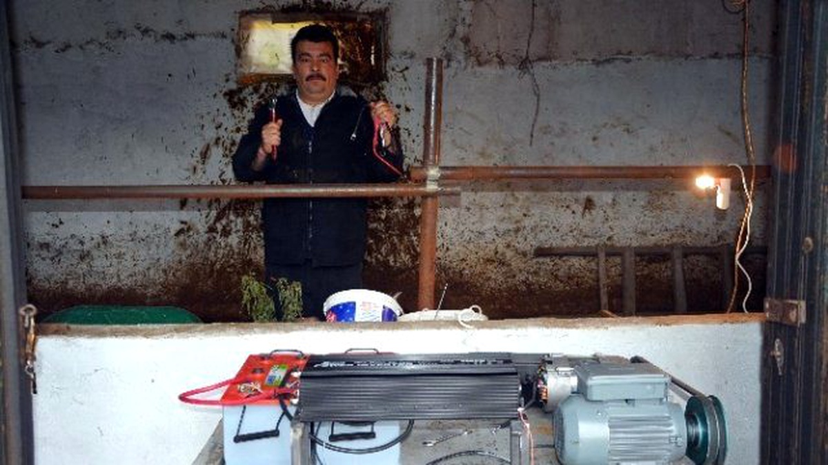 Hayvan Damında Elektrik Üretti