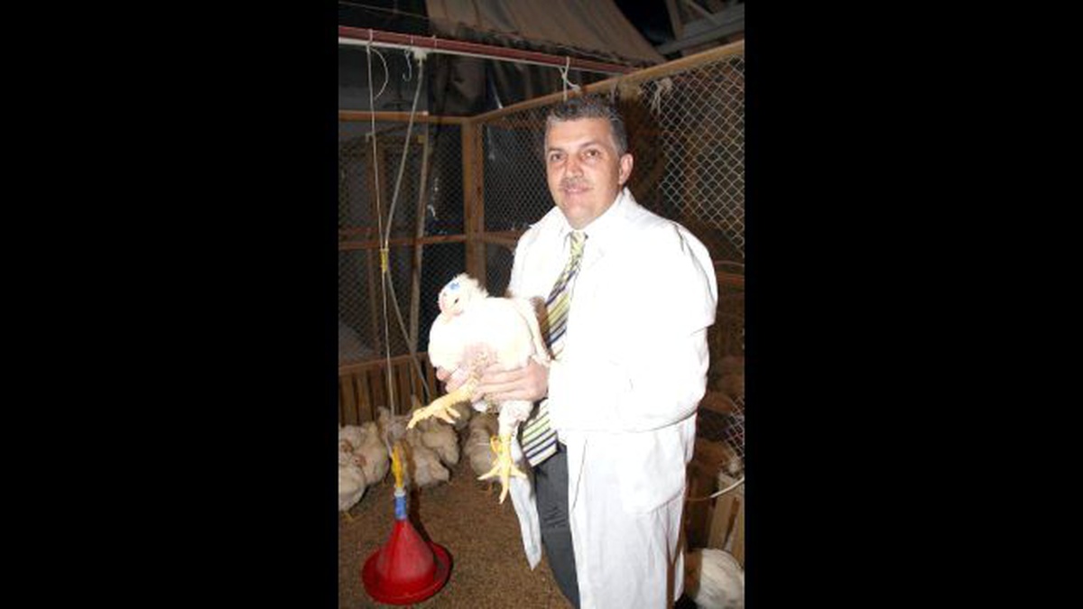Prof. Dr. Kutlu: Türkiye\'de Organik ve Hormonlu Tavuk Eti Yok