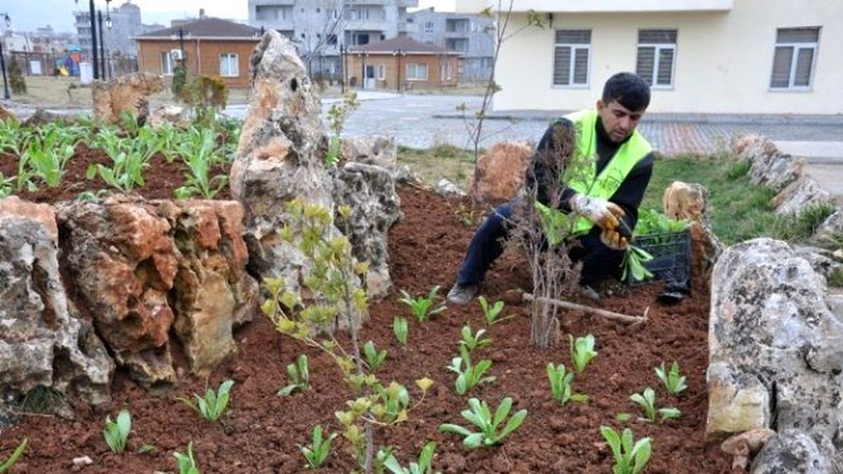 Siirt\'te 10 Bin Çiçek Dikilecek