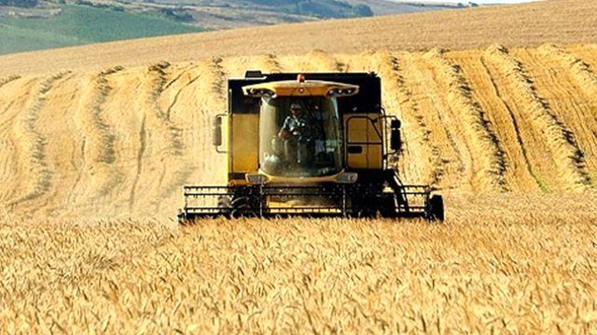 Tarım Desteklemeleri Başvurusu Süresi Uzatıldı
