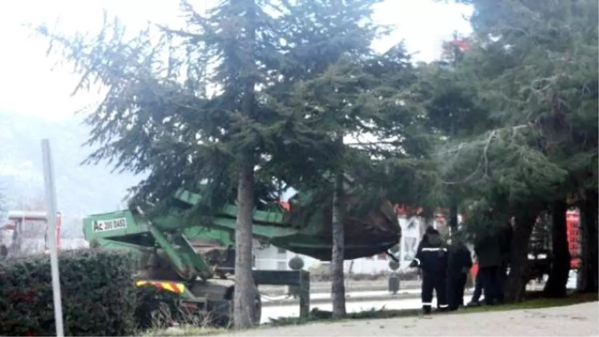 Vali Coş\'un Annesi, Tek Başına Çevre Eylemi Yaptı