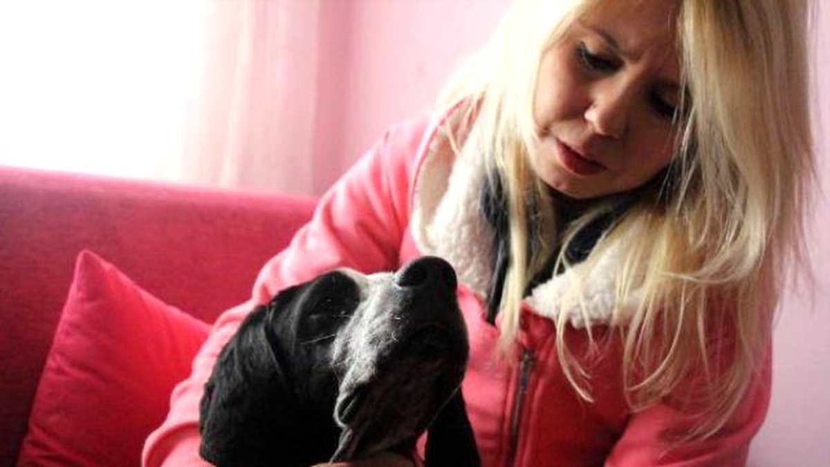 Av Köpeği \'Aşkım\'ı Sahiplenmek İsteyenler Sıraya Girdi