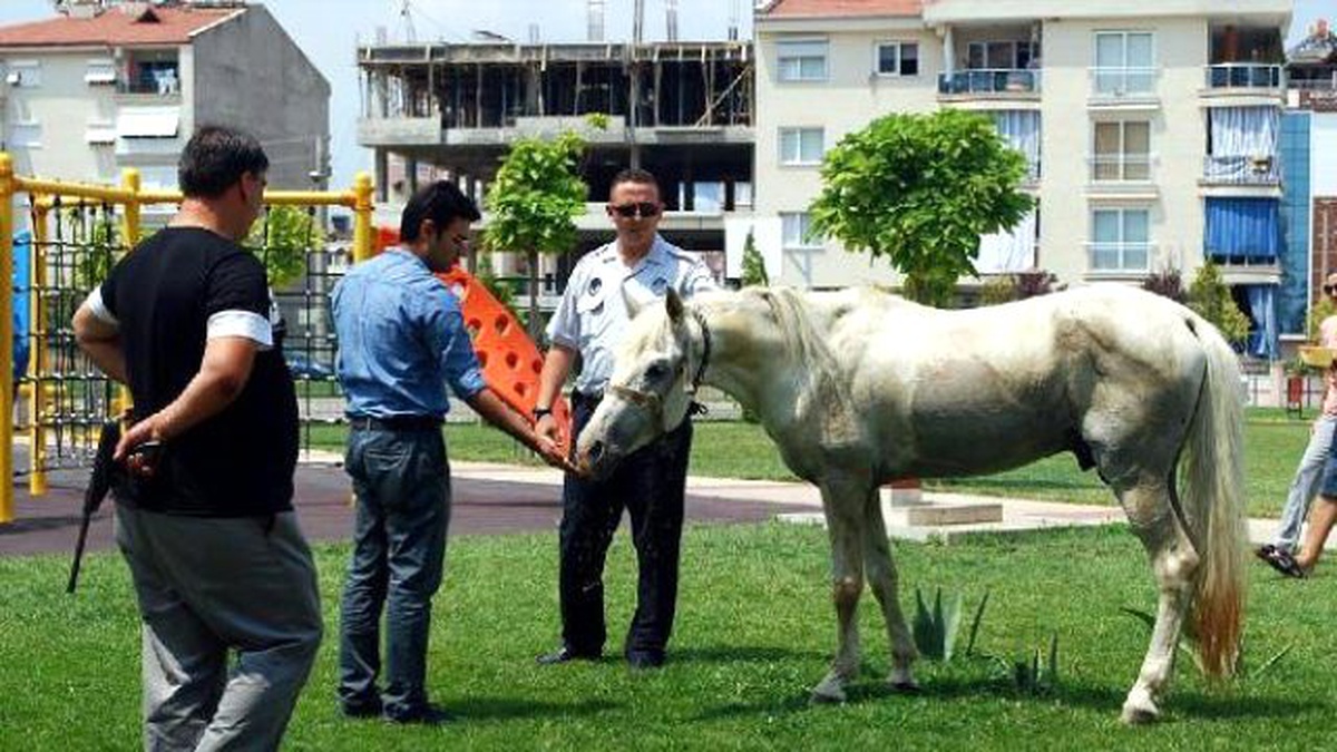Ata Çarpan Motorsikletli 6,5 Ay Sonra Öldü
