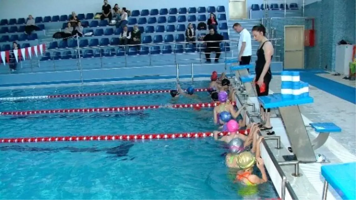 En Temiz Havuz Gemlik\'te