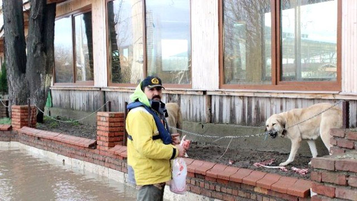 Mahsur Kalan Köpekler Unutulmadı