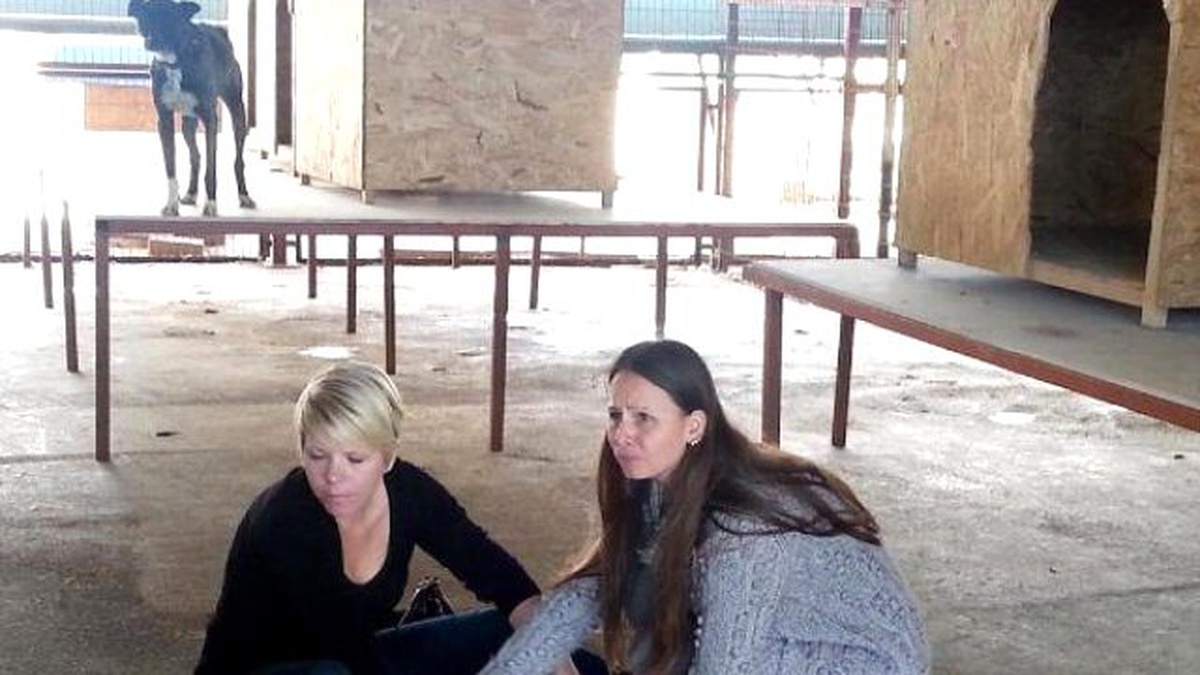 Manavgat\'taki Barınağa Türk ve Alman Hayvanseverlerden Tepki