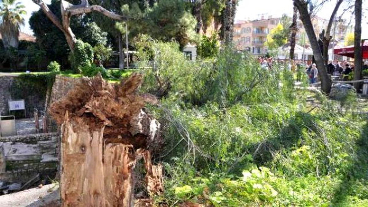 Noel Baba Müzesi\'ndeki Asırlık Ağaç Fırtınada Devrildi