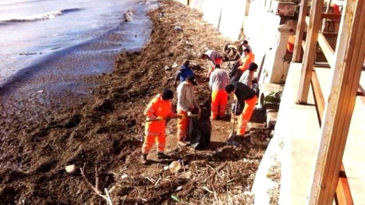 Süleymanpaşa Belediyesi Lodostan Oluşan Kirliliği Temizlemeye Devam Ediyor
