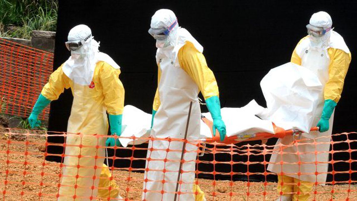 Batı Afrika\'da Ebola Salgını Artış Gösterdi