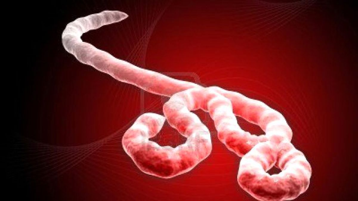 Denizli\'de Ebola Virüsü Şüphesi