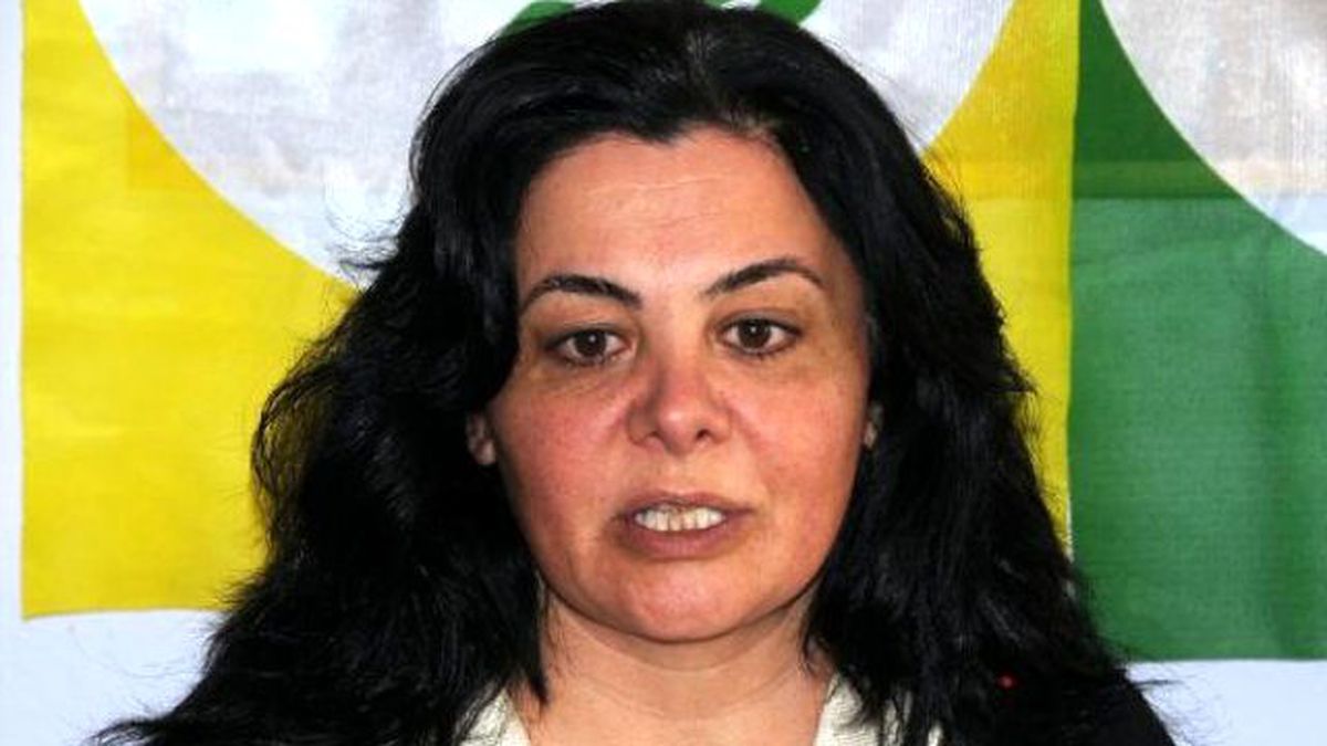 Hdp\'li Altunışık: Barajı Geçeceğiz
