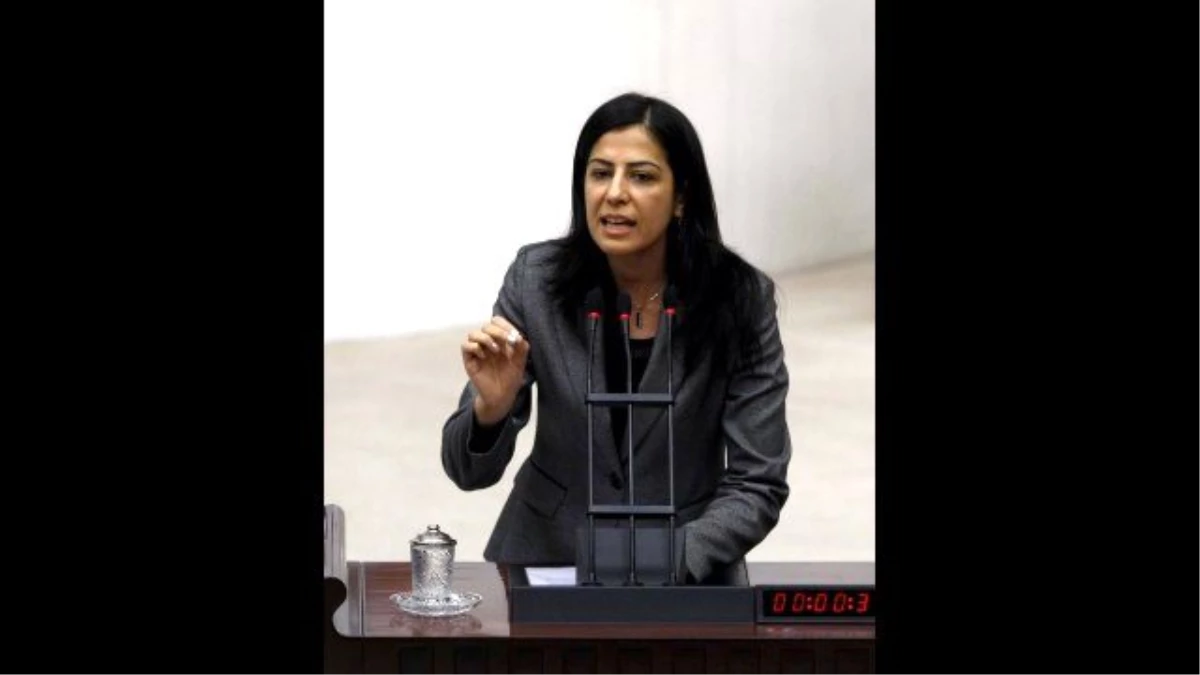 HDP Milletvekili Ata, Başbakanlığın Gönderdiği Cevabı Yetersiz Buldu