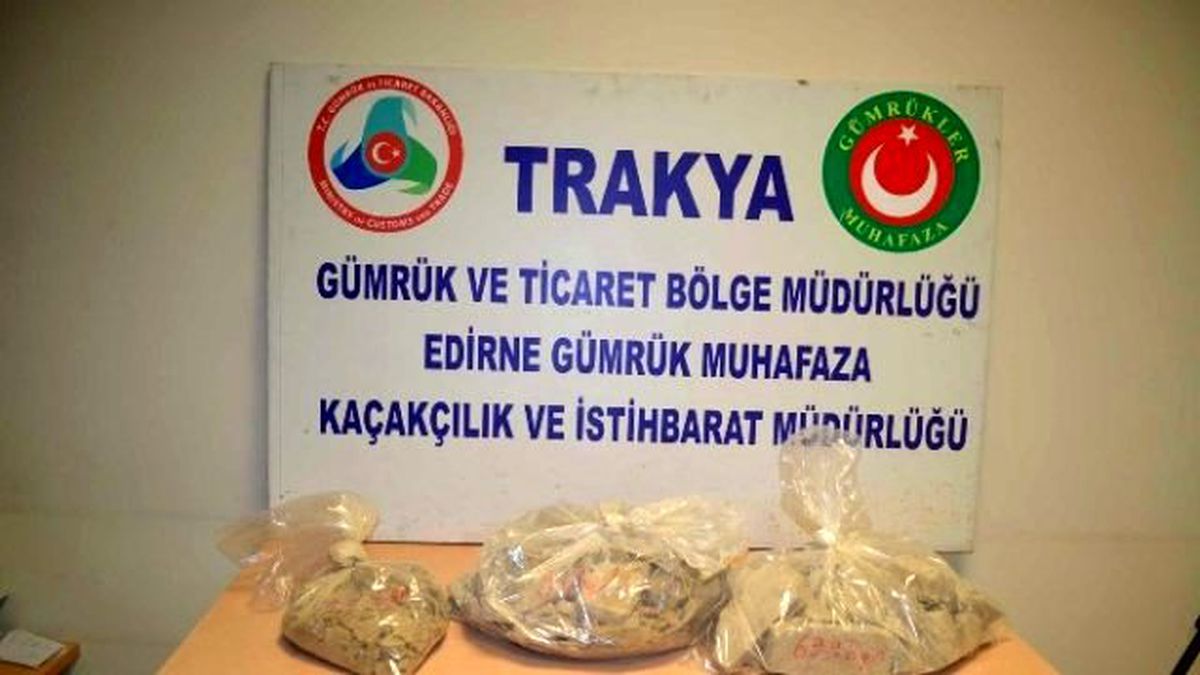 Kapıkule\'de 19 Kilo Eroin Ele Geçirildi