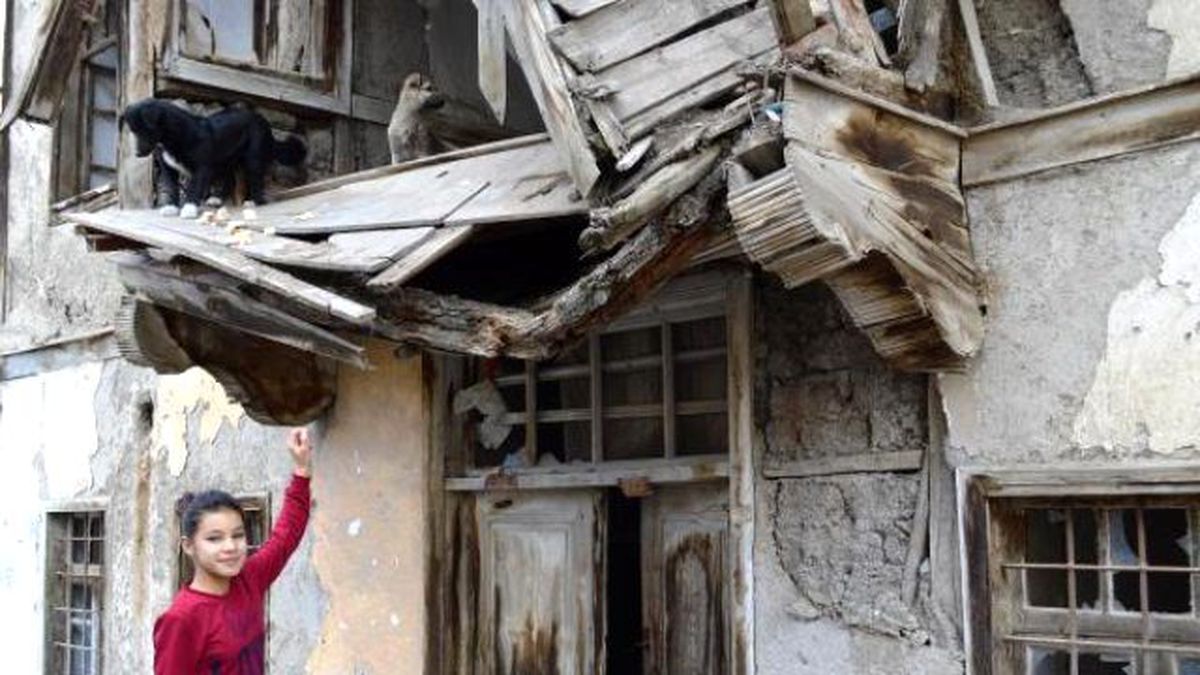 Küçük Azra\'dan Yavru Köpeklere Şefkat Eli
