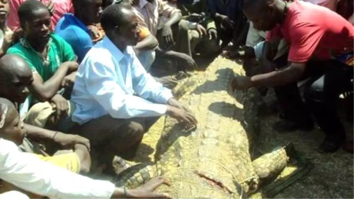 Hamile Karısını Yiyen Timsahı Öldürdü