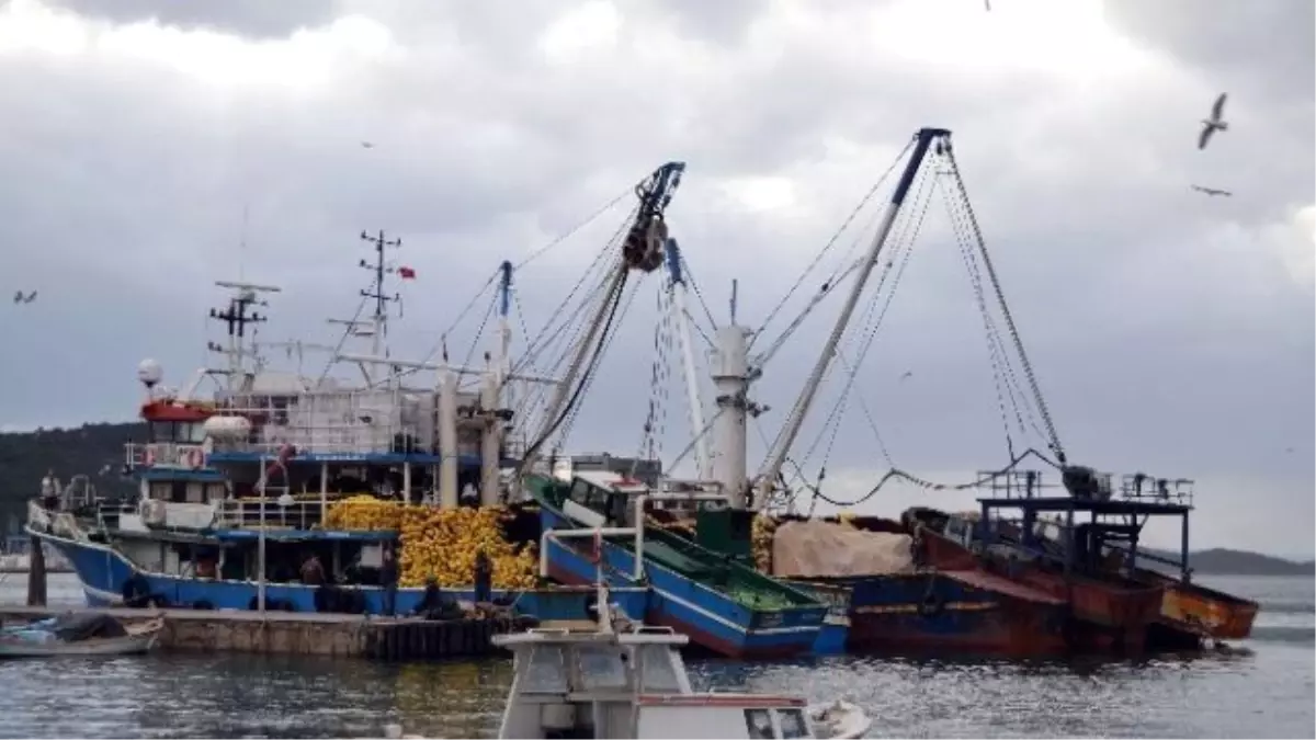 Suriyeli 22 Mülteciyi Ölümden Balıkçılar Kurtardı