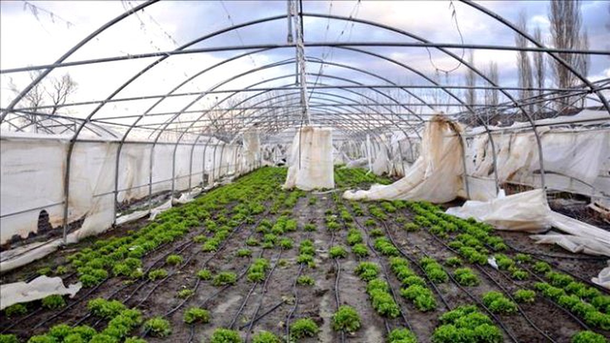 Lodostan Seraları Etkilenen Çiftçilere Tekirdağ Büyükşehir Belediyesinden Destek