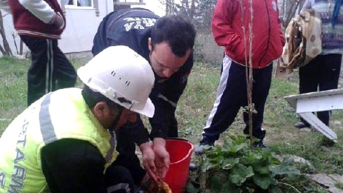 Sıkıştığı Borudan Kurtarılan Yavru Kediye Şırıngayla Süt Verildi