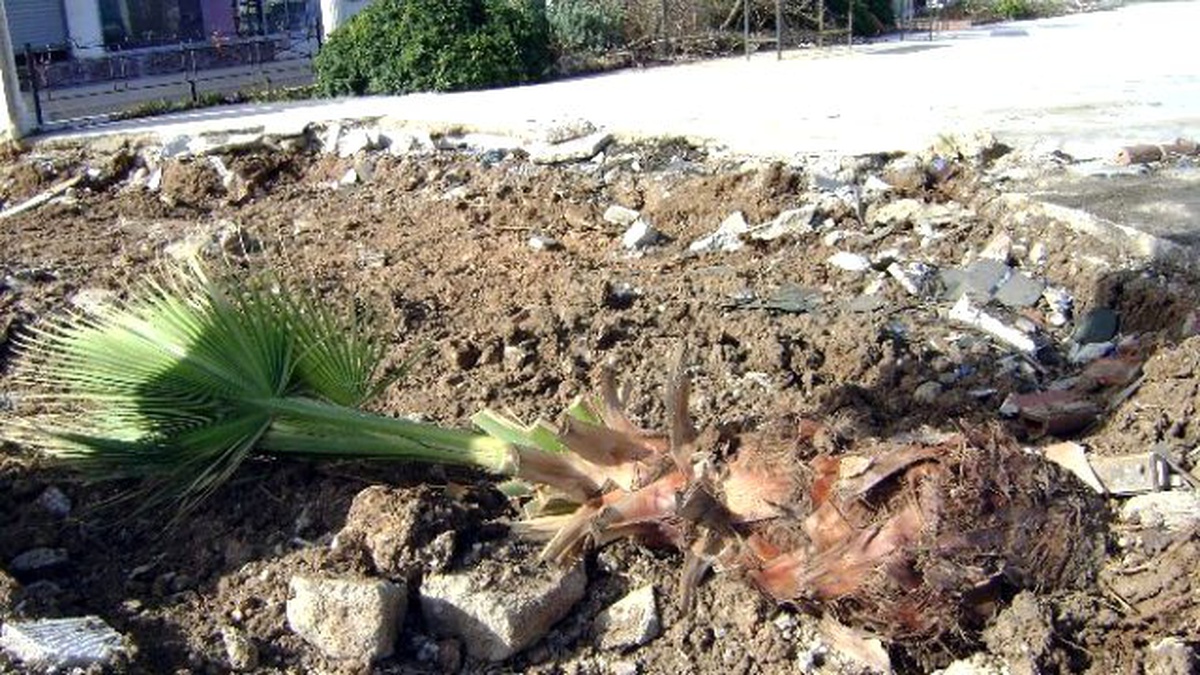Altınkum\'da Güvenlik Zaafiyeti İddiası