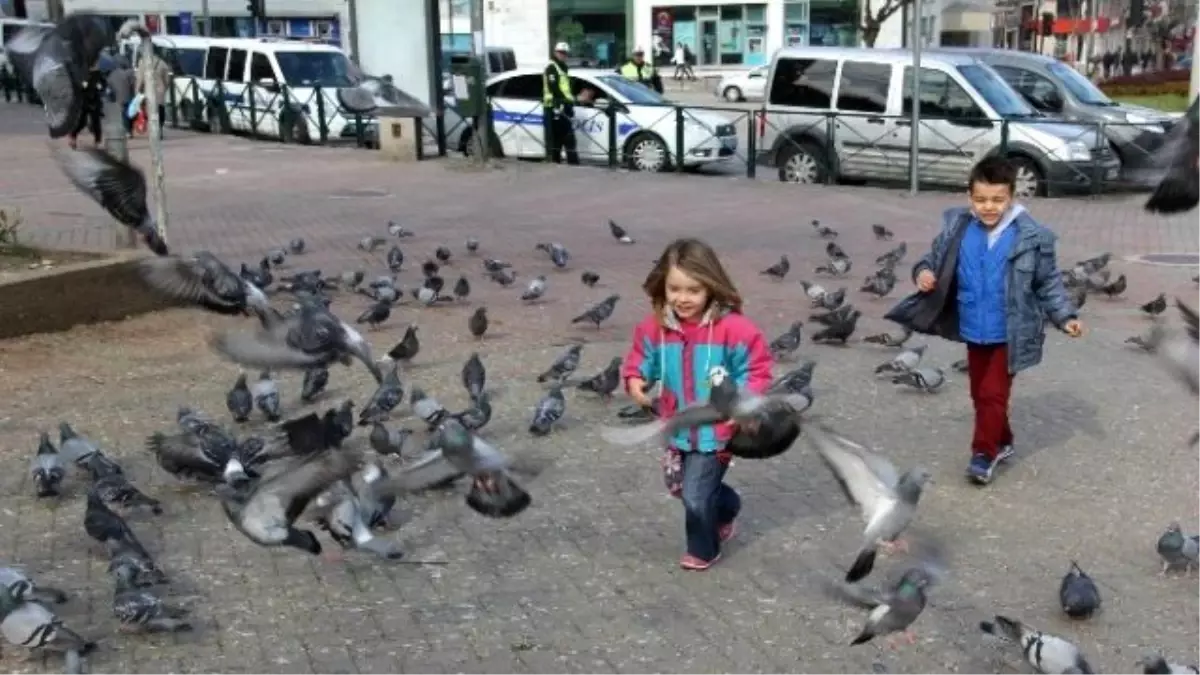 Güvercinler Çocukların Neşe Kaynağı