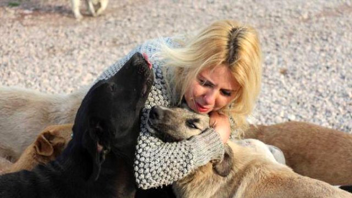Yaralı Köpeği Barınağa Bırakmak İsteyen Hayvansever Sibel\'i Ağlattılar