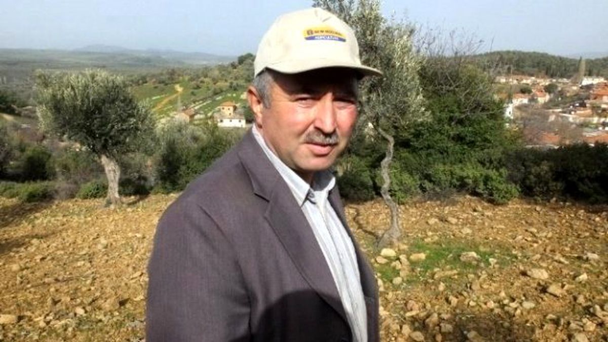 Zeytin Hasadında Sona Gelindi