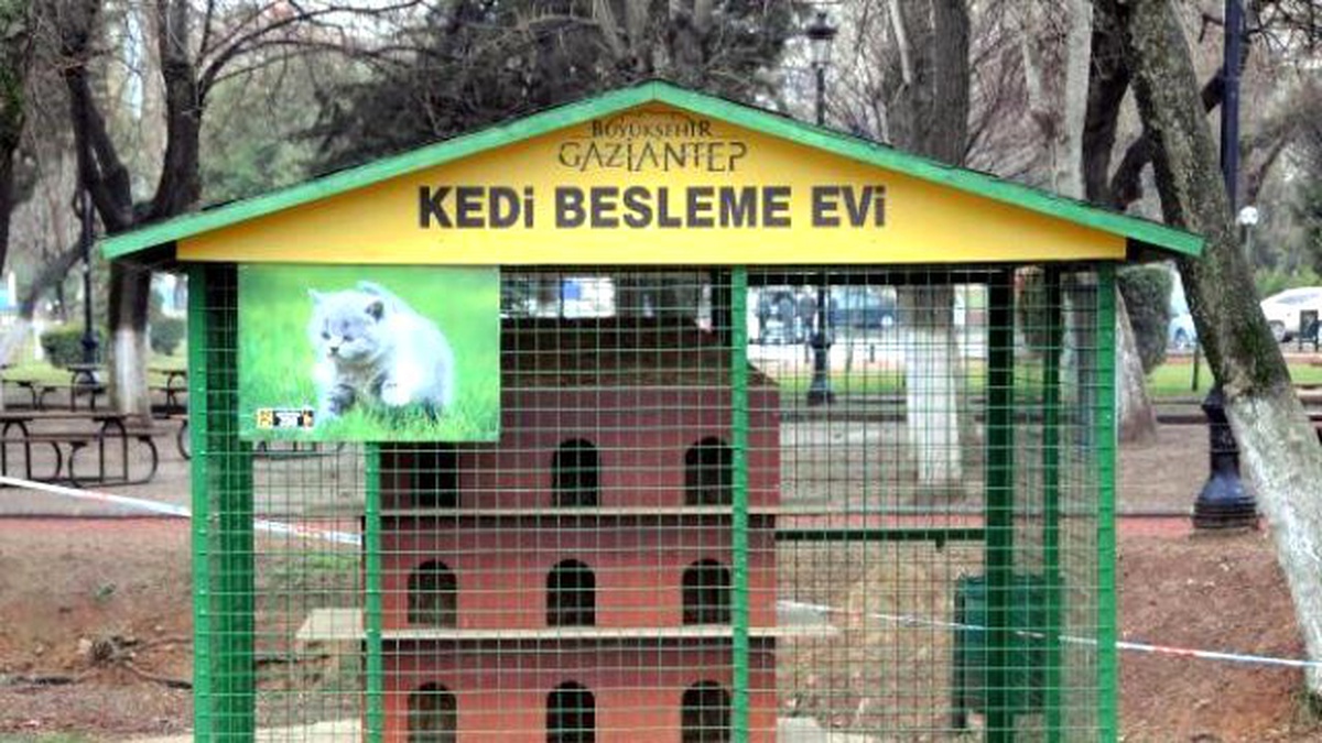 Gaziantep\'te Sokak Kedilerine Barınak