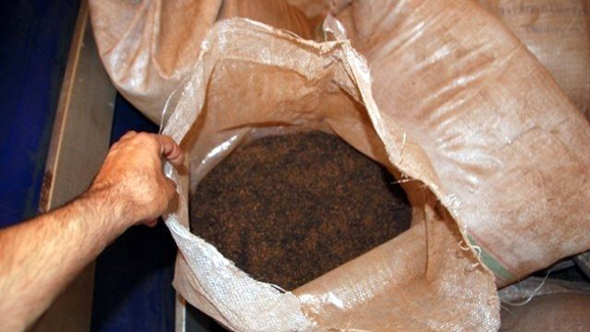 Jandarma Yarım Ton Kaçak Çay Ele Geçirdi
