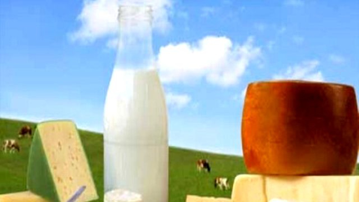 Süt ve Süt Ürünleri Üretimi Açıklandı