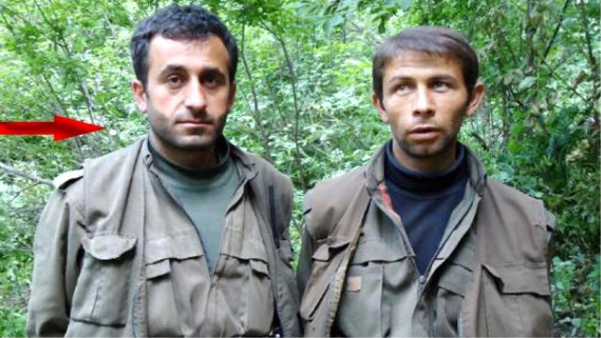 Binbaşı Katili PKK\'lı Şanlıurfa\'da Yakalandı