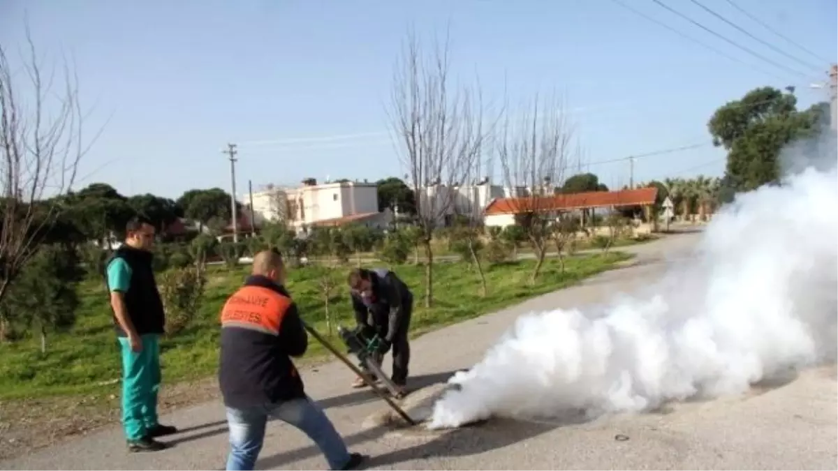 Burhaniye\'de Sivrisinek İçin Kış Mücadelesi