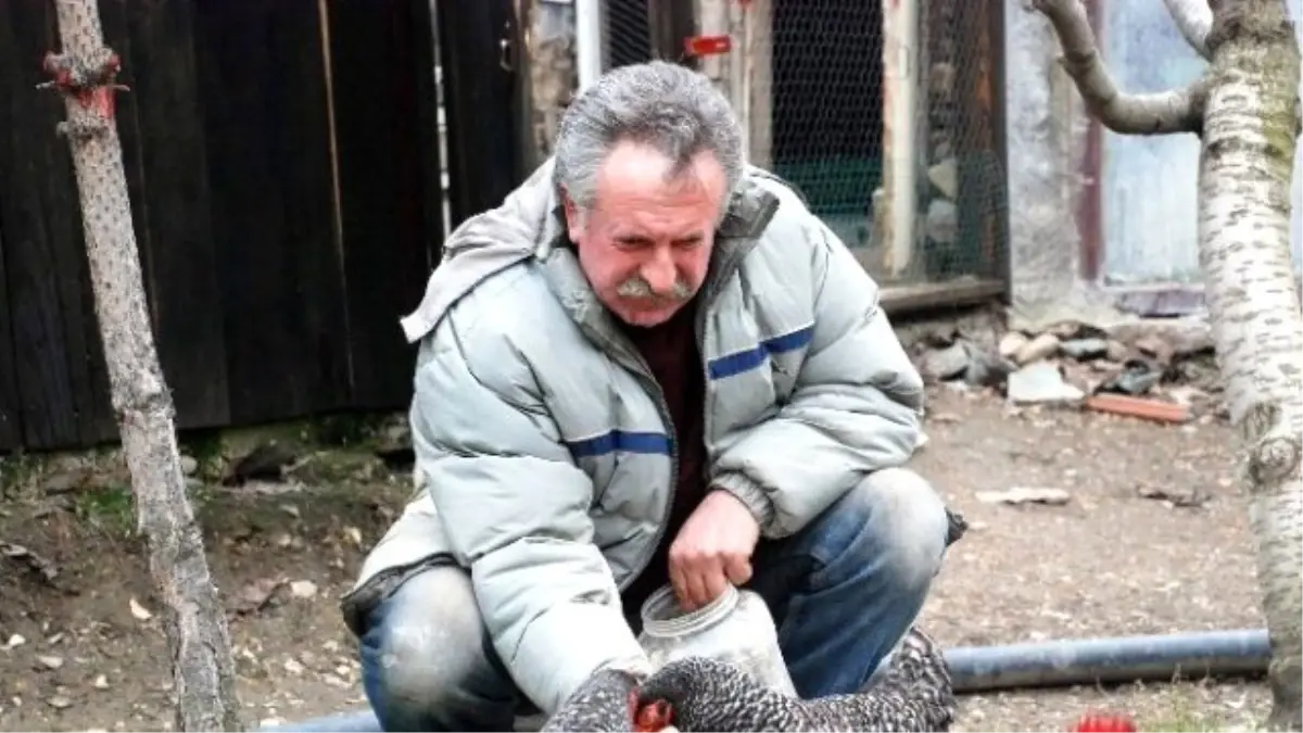 Cenazede Hakkını Helal Etmeyen Bice Milletvekili Aday Adayı