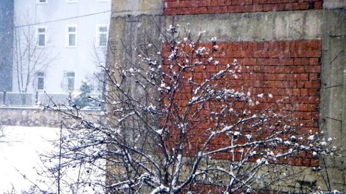 Kışın Ortasında Çiçek Açan Badem ve Kayısı Ağaçları Kardan Olumsuz Etkilendi
