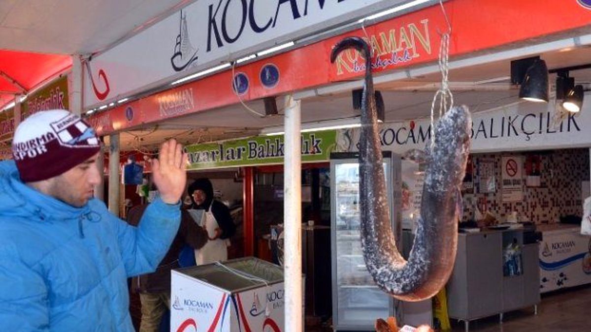 Piton Gibi Balık