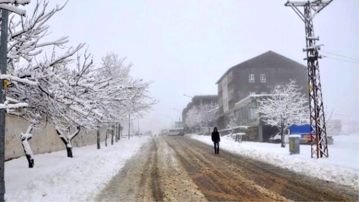 Sincik\'te Kar Yağışı Etkili Olmaya Devam Ediyor