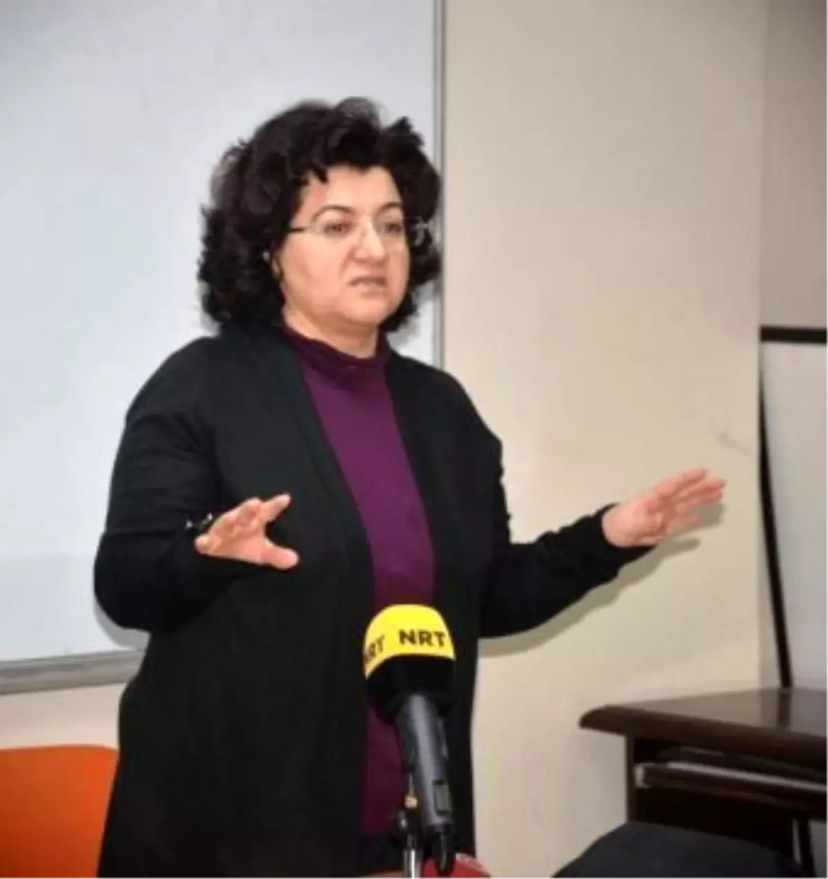 Emine Ayna: 6-7 Ekim Olayları Devletin Kobani Politikasını Kırdı