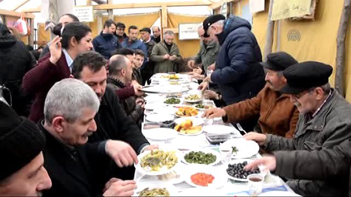 Fatsa\'da Siyanürle Altın Madeni Çıkarılması