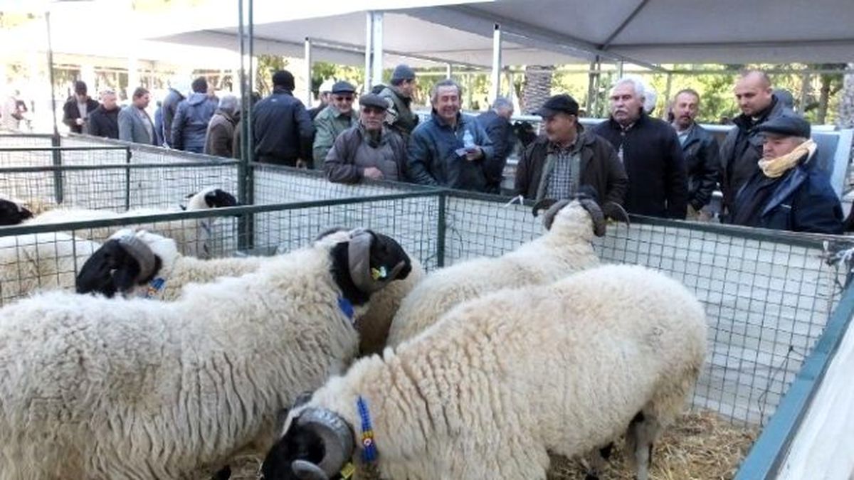 Burhaniyeli Çiftçiler Fuarlarda Yeni Teknolojileri Takip Ediyor