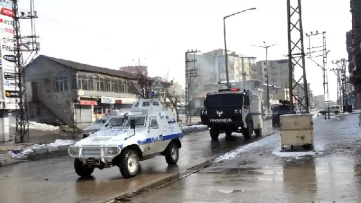 Van ve Hakkari de Öcalan Mitingi