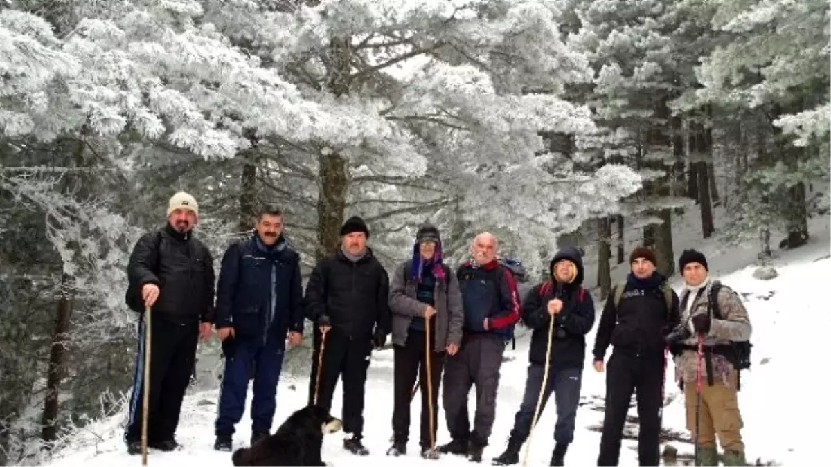 Aşklarını Zirveye Taşıdılar