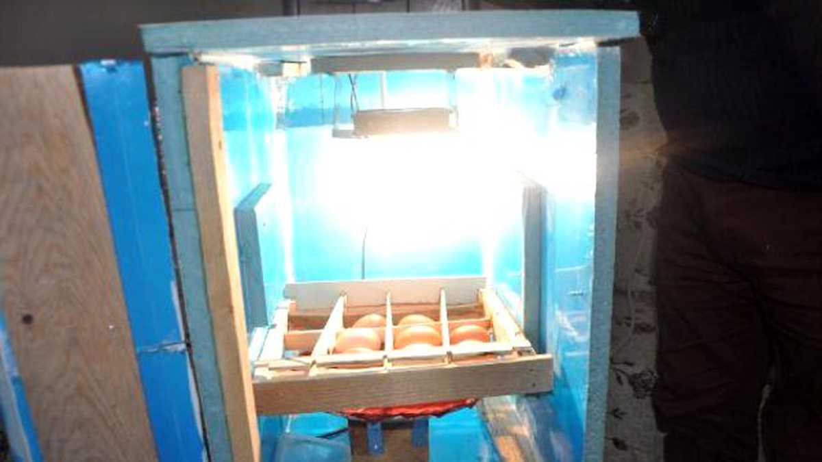 Yalıtım Malzemesinden Kuluçka Makinesi Yaptı