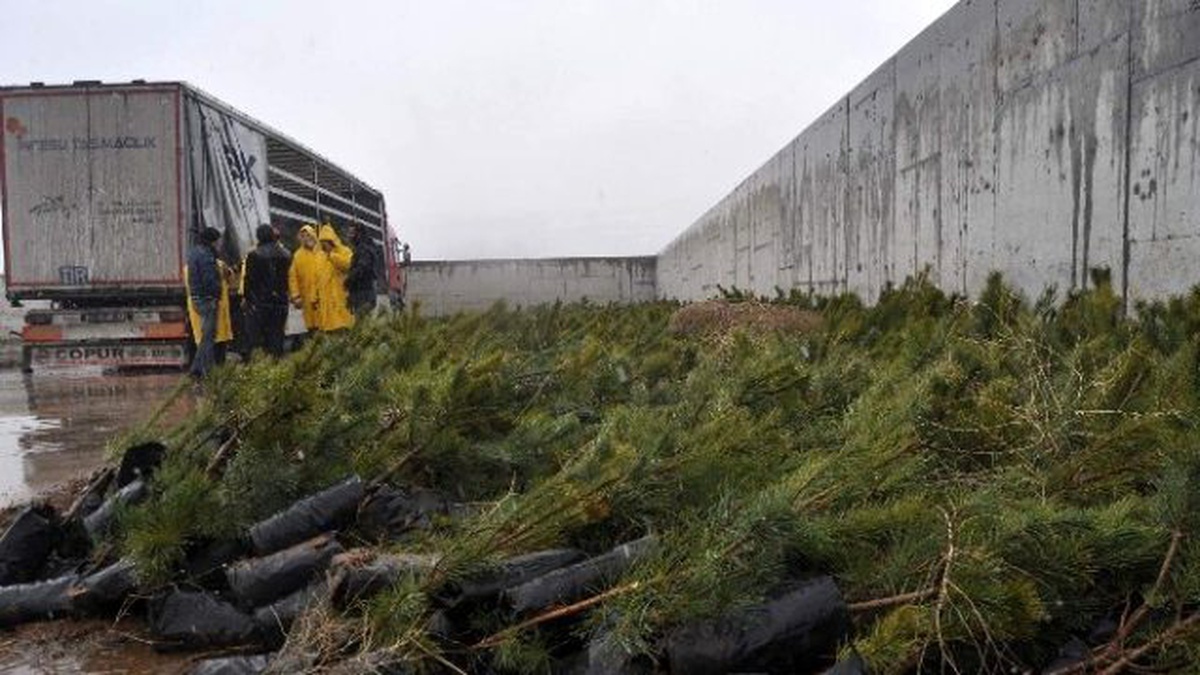 Kocasinan Kaymakamlığı Çanakkale Zaferi\'nin 100. Yılında 100 Bin Fidanı Toprakla Buluşturacak