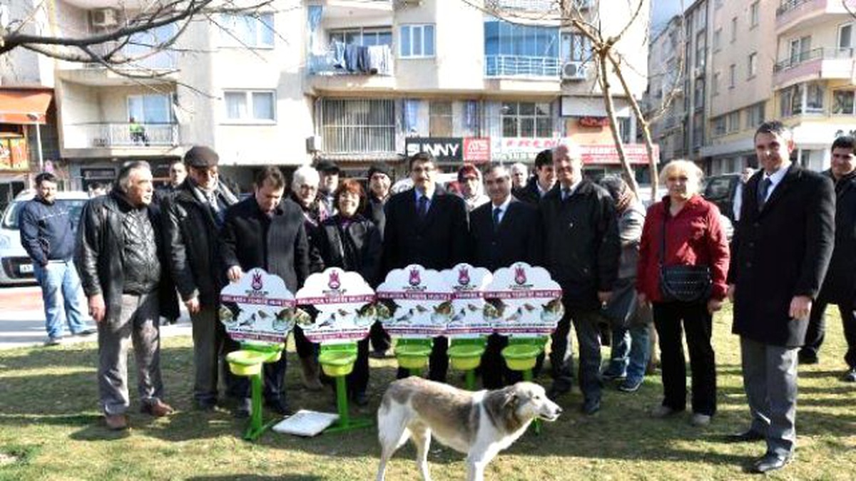 Manisa\'da, Sokak Hayvanları İçin 100 Noktaya Beslenme Kabı