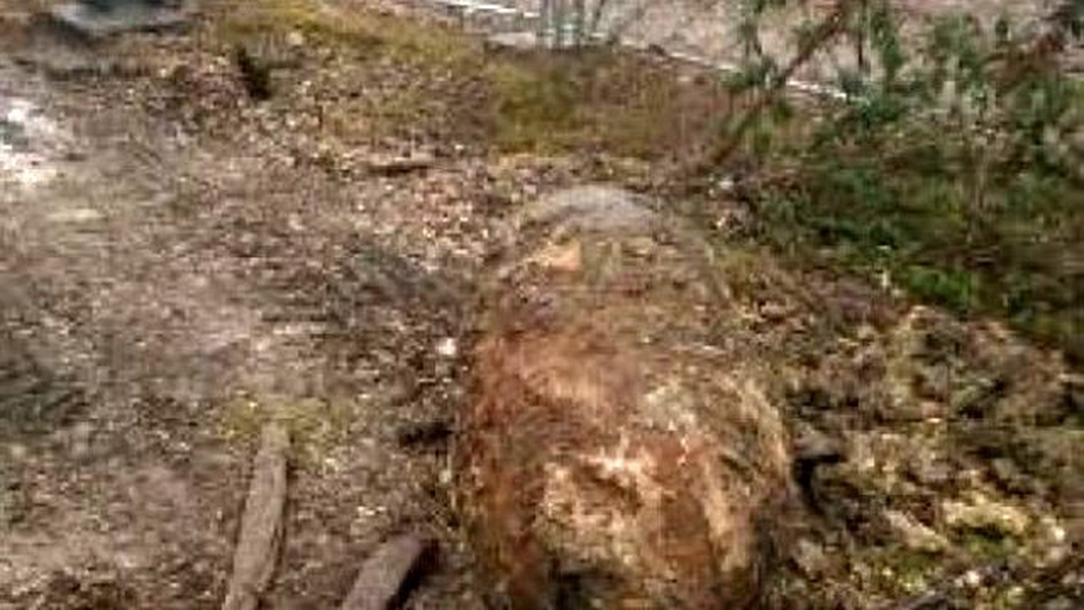 2. Dünya Savaşından Kalma Bomba Tren Seferlerini İptal Ettirdi