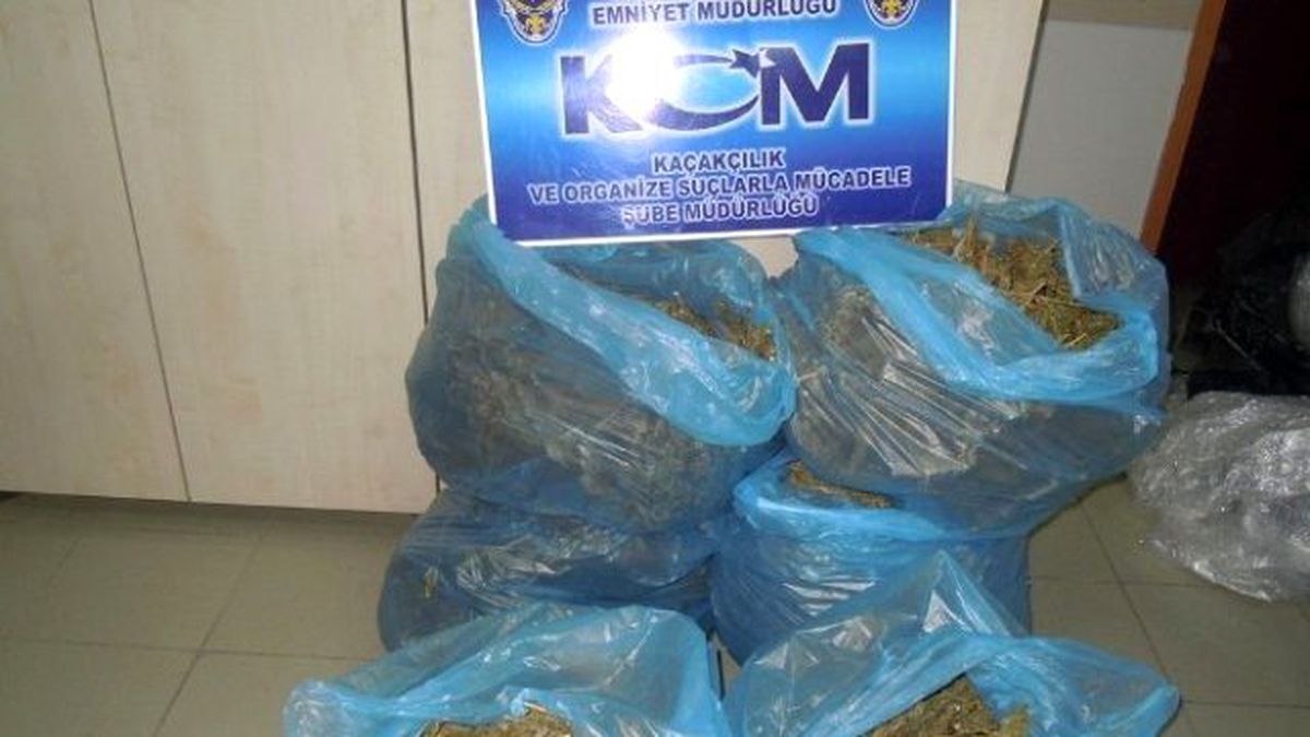 40 Kilo Esrar Ele Geçirildi