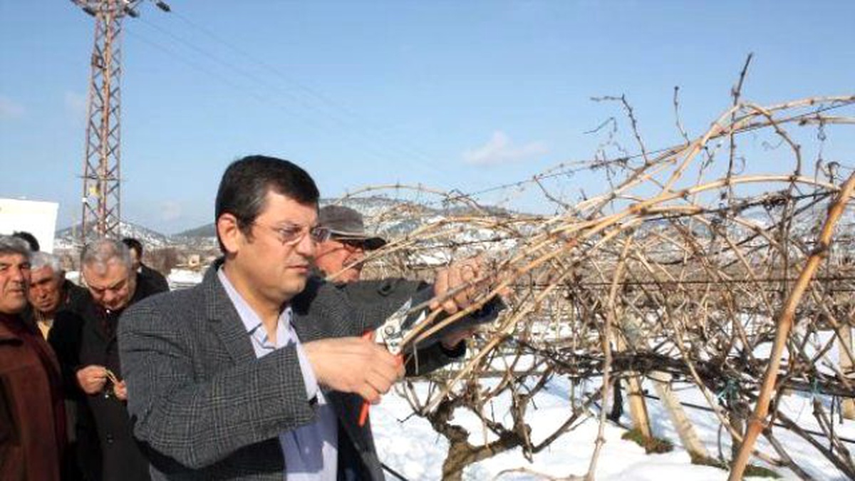 CHP\'li Özel\'den Bağ ve Zeytinlikleri Zarar Gören Üreticiler İçin Kanun Teklifi